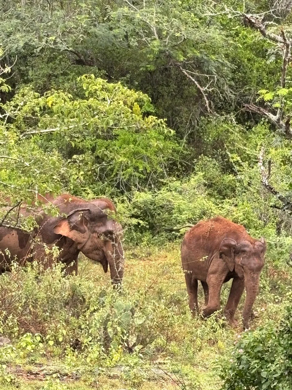 Munnar journey